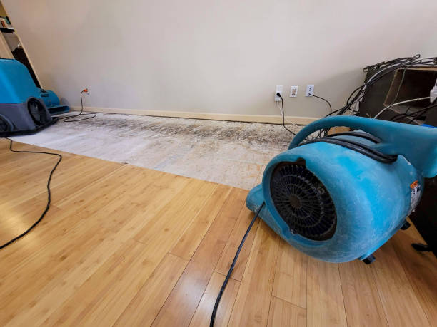 Professional Flood Damage Cleanup technician working in Arcadia, IN